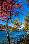 Jordan Pond in Acadia National Park, Maine, USA