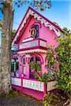 Bright Pink House, Wesleyan Grove, Camp Meeting Association Historical Area, Oak Bluffs, Martha's Vineyard, Massachusetts, USA