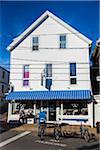 Bike Rack with Bicycles in front of Shop, Vineyard Haven, Tisbury, Martha's Vineyard, Massachusetts, USA