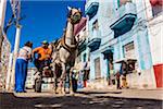 Low Angle View of Horse Drawn Cart on Callejon de Hamel, Havana, Cuba