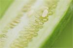 Eggplant on green background