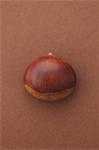Chestnut on brown background