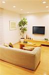 Living room with a plant, furniture and a LCD TV on the wall