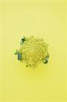 Romanesco Broccoli on yellow background