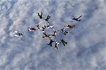 Parachute jumpers in the sky, Sweden.