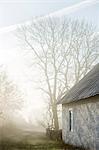 A house in a hazy landscape, Sweden.