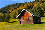 Hay Barn in Autumn, near Garmisch-Partenkirchen, Werdenfelser Land, Upper Bavaria, Bavaria, Germany