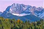 Trees in Autumn with Karwendel Mountain Range, Near Garmisch-Partenkirchen, Werdenfelser Land, Upper Bavaria, Bavaria, Germany