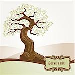 Olive tree vector for label, menu, stationary, printed materials, background, packaging