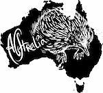 Echidna on map of Australia. Black and white vector illustration.