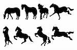 Collection of different silhouettes of horses - vector illustration isolated on white background