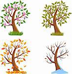 Spring, Summer, Autumn and Winter Tree Illustration.