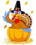 Illustration of a Thanksgiving turkey with pilgrim hat in the  pumpkin