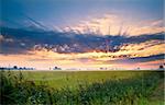 colorful sunrise over Dutch pasture