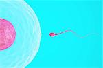 High quality 3d image of a single sperm swimming towards the egg