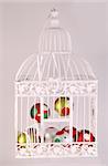 Christmas decoration with bird cage