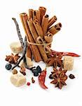 Arrangement of Cinnamon Sticks and Spices with Vanilla Pods, Anise Stars, Chili Pepper, Cloves, Barberries and Brown Sugar isolated on white background