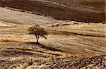 plowed autumn fields in rural Andalucia, Spain