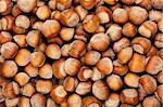 Closeup shot of hazelnut texture background