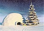 christmas igloo at the morning