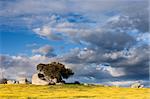 Vast plains of the Alentejo country in spring, Portugal