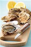 Close-up of Oysters and Oyster Knife on Cutting Board on Blue Background, Studio Shot