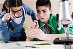 Boy and Girl Examining Leaves with Magnifying Glasses, Mannheim, Baden-Wurttemberg, Germany