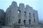 Ruins of Wolfstein Castle in Fog, Wolfstein, near Neumarkt in der Oberpfalz, Bavaria, Germany