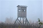 Hunting Blind in Foggy Field, Upper Palatinate, Bavaria, Germany