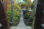 Kazura vine bridge in Ikeda, Fukui Prefecture