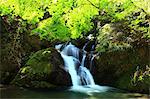 Uguisu waterfall, Tokushima Prefecture