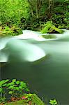 Oirase mountain stream, Aomori Prefecture