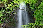 Hairazawa waterfall, Tokyo Prefecture