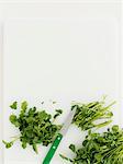 Watercress on cutting board