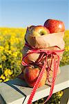 Sack of apples on wooden fence