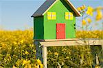 Model house in field of flowers