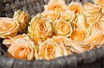 Close up of basket of roses
