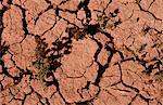 Close up of cracked dry earth