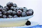 Fresh Blueberries in a Bowl