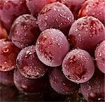 Red grapes with drops of water (close-up)