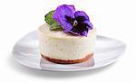 Mini French Vanilla Cheesecake with Purple Flower Garnish
