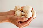 A woman holding fresh mushrooms