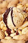 Peanut ice cream with roasted peanuts and chocolate sauce