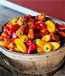 Basket of Fresh Muliti-Colored Peppers