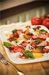 Caprese Salad with a Variety of Tomatoes, Mozzarella and Basil