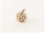 A garlic bulb