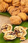 Whole and halved walnuts on a walnut leaf