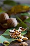 A cracked walnut on a walnut leaf