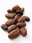 Cocoa beans