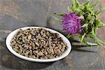 Milk thistle (a flower and seeds)